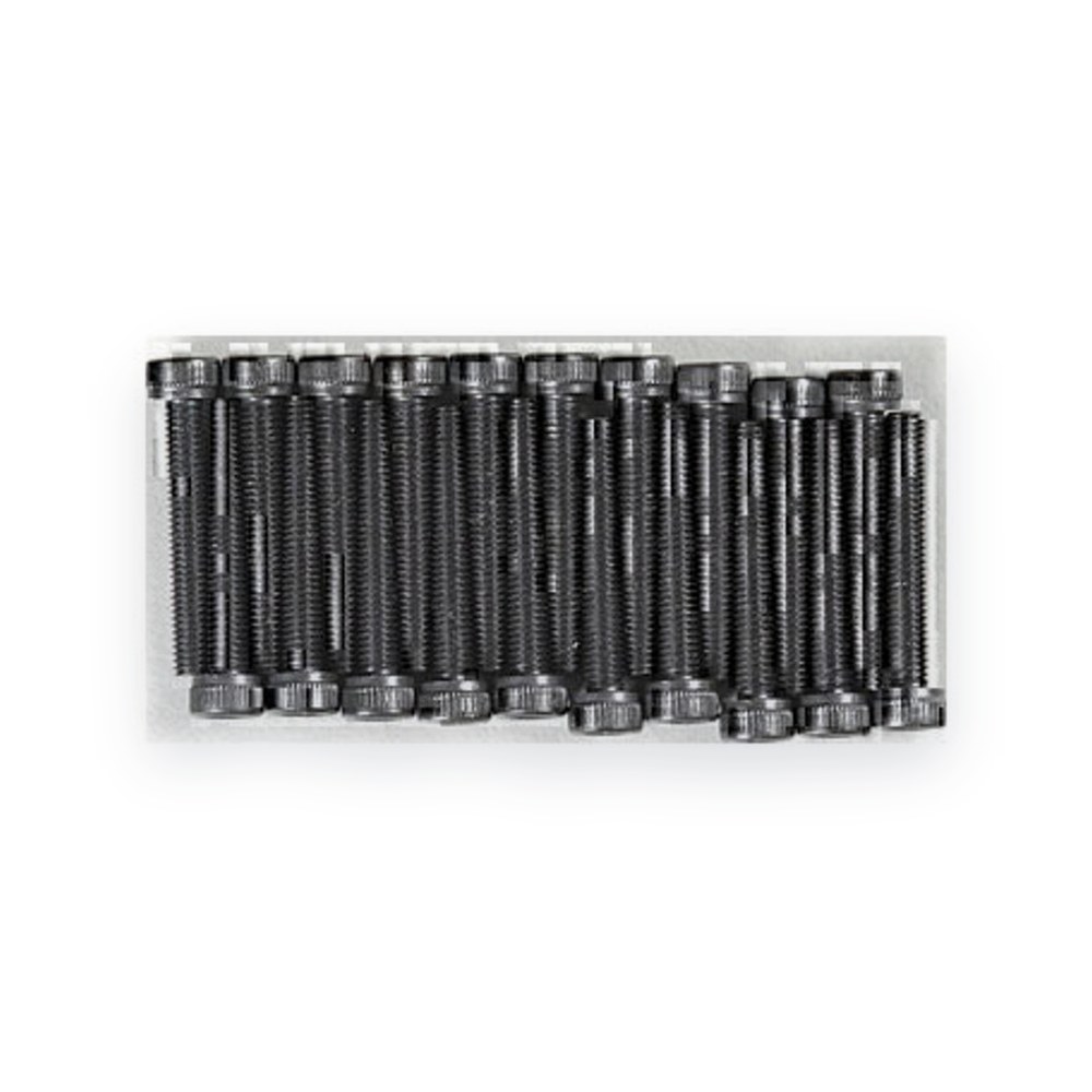 Associated Socket Head Hex Screw, M3x20mm (20)