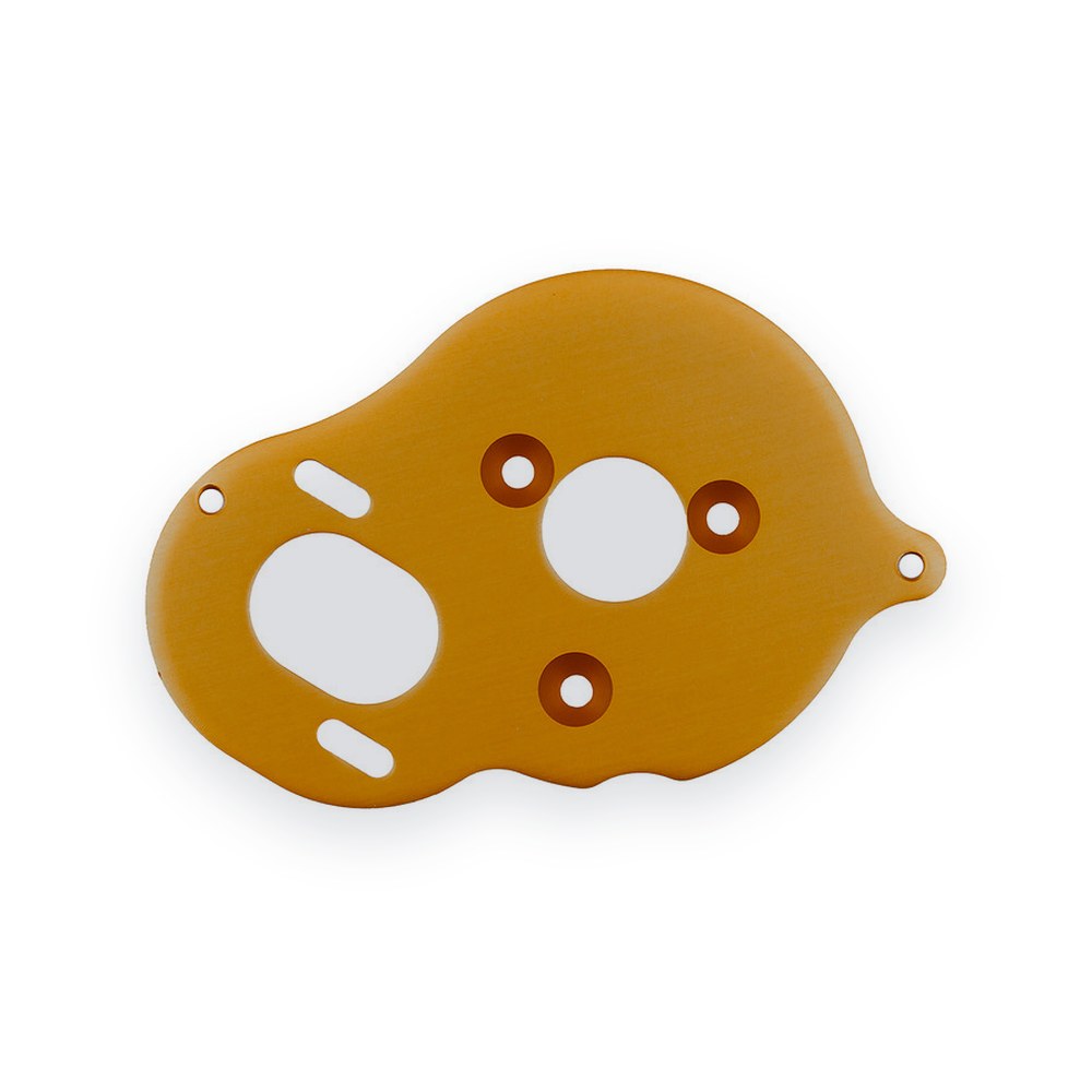 Associated Stealth X Motor Plate, Gold