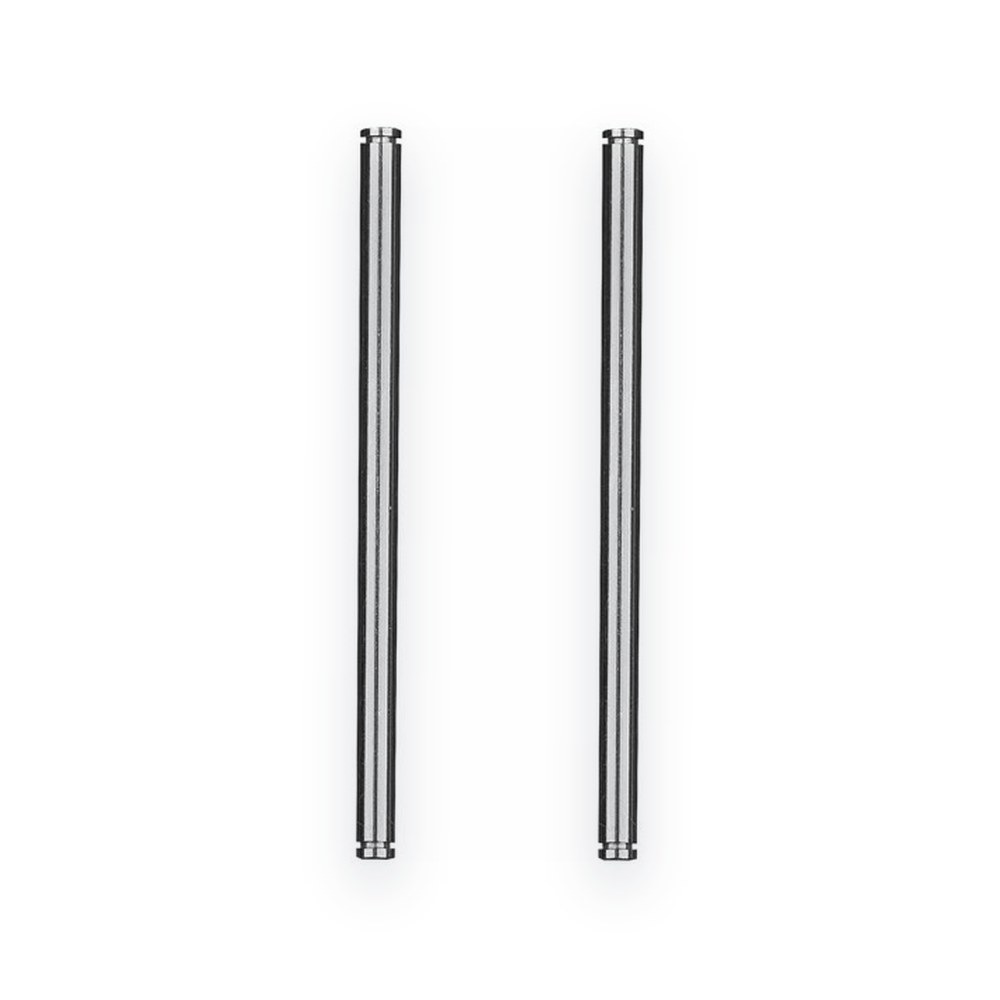 Associated RC10 91 Stealth Car, Rear Inner Hinge Pins