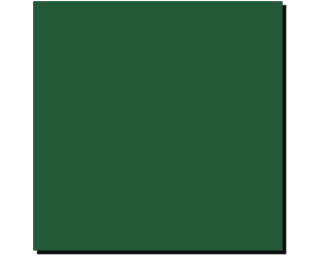 Acrylic Model Paint 1 Oz Bottle Green