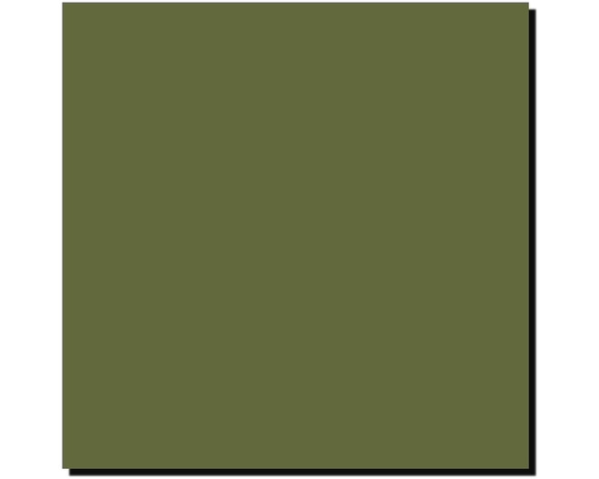 Acrylic Model Paint 1 Oz Bottle Olivegrun Rlm 80