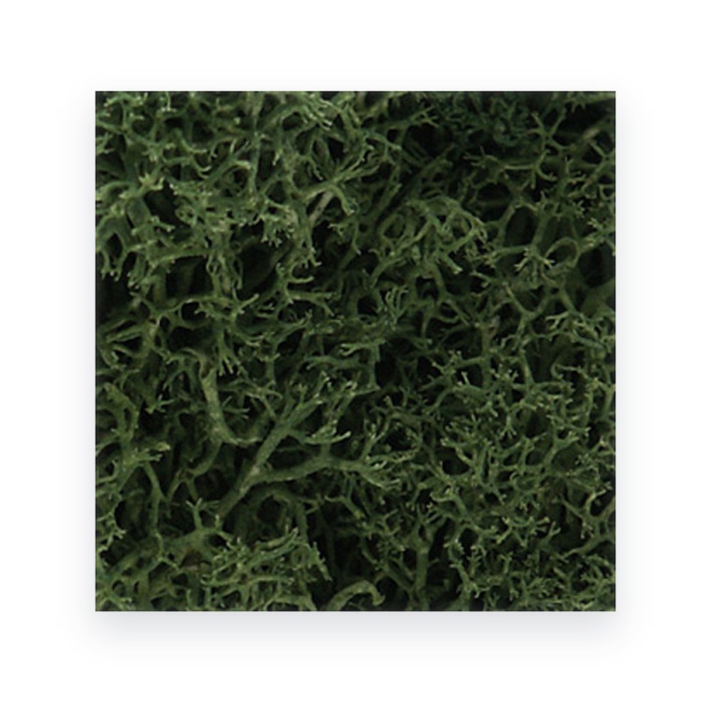 Woodland Scenics Lichen Bag, Medium Green, 82 cu. in.
