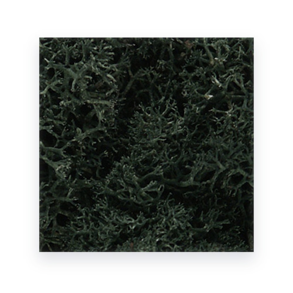 Woodland Scenics Lichen Bag, Dark Green, 82 cu. in.