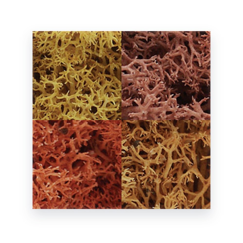 Woodland Scenics Lichen Bag, Autumn Mix, 82 Cu. In.
