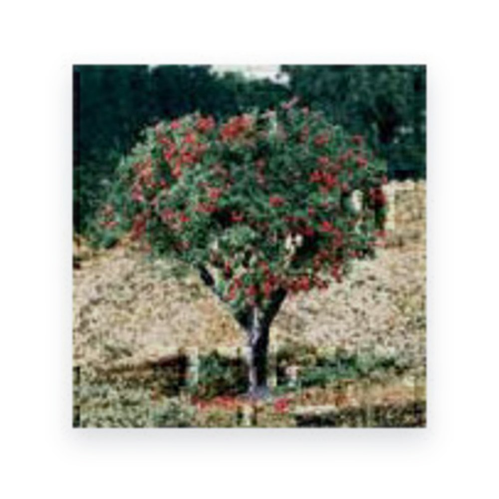 Woodland Scenics Flower Bag, 4-Color, 1.5 cu. in.