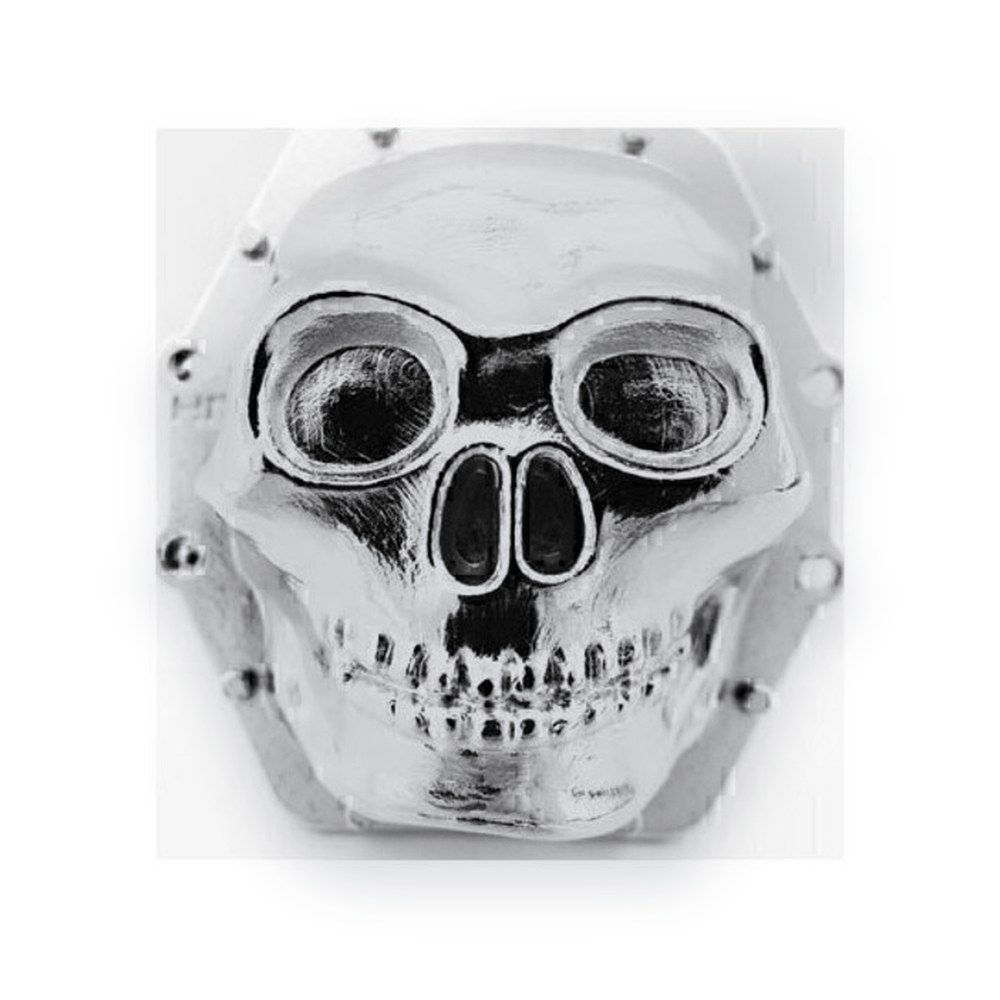 Hot Racing Axial Yeti Wraith AX10 Metal Skull AR60 Diff Cover, Chrome